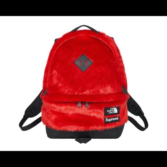Supreme North face faux fur backpack - Picture 3 of 3
